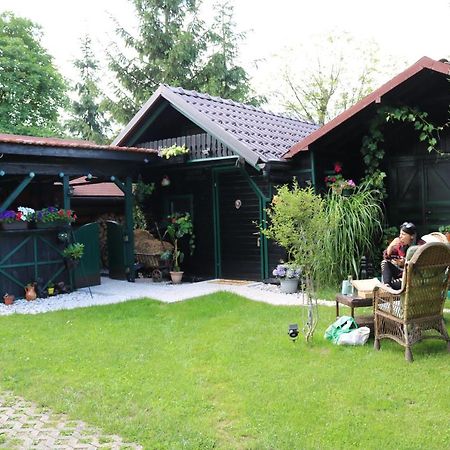 Frenkcottage 5 Km From The Airport- Free Transportation Sencur Exterior photo