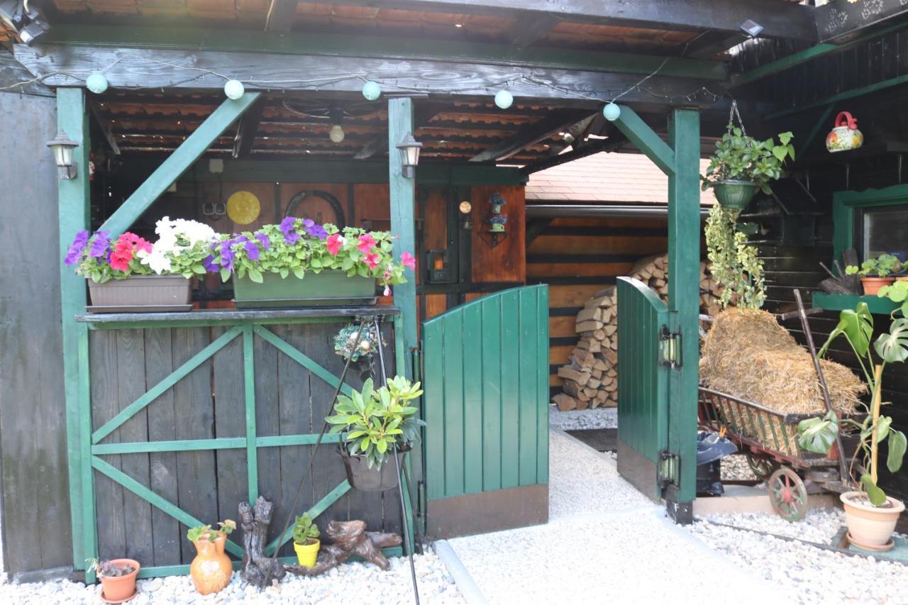Frenkcottage 5 Km From The Airport- Free Transportation Sencur Exterior photo