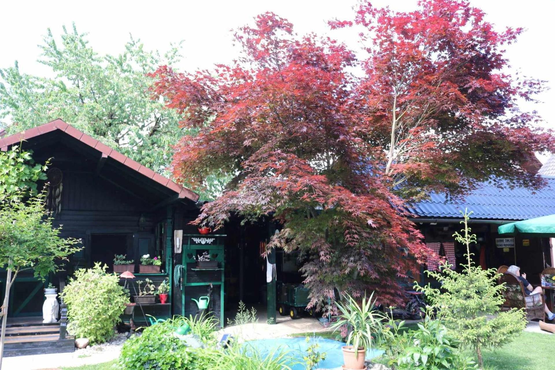 Frenkcottage 5 Km From The Airport- Free Transportation Sencur Exterior photo